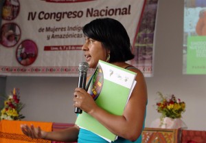 Ángela Vilca (CAAAP) durante su exposición con la temática del Sínodo Amazónico. Foto: Onamiap