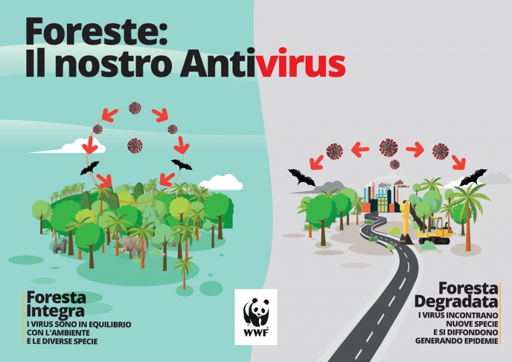 Ilustración 1- Bosques: Nuestro Antivirus (WWF Italia, 2020)