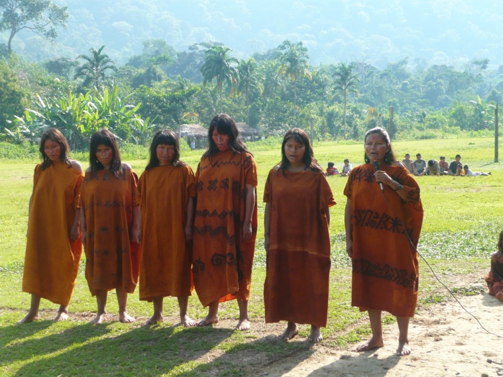 La comunidad nativa Tansoshiari se ubica en el río Pagoreni, en la zona del Bajo Urubamba. Foto: Cedida
