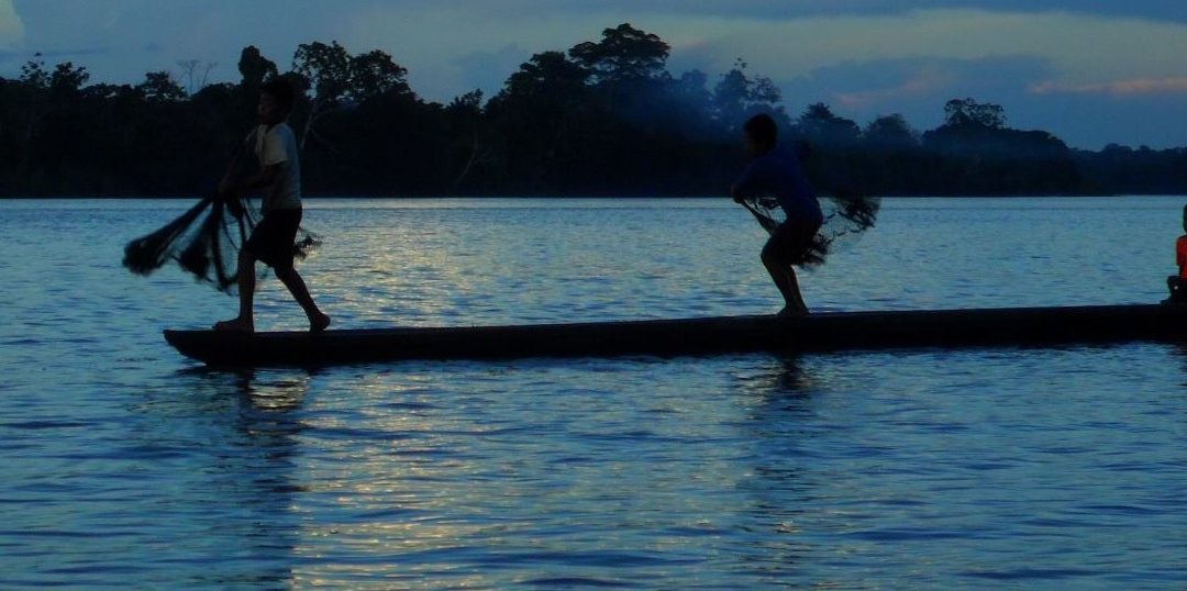 Más de 300 especialistas ligados a la Amazonía urgen acciones diferenciadas para los pueblos indígenas