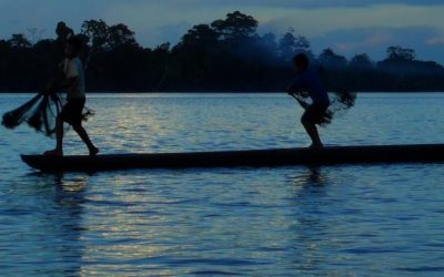 Más de 300 especialistas ligados a la Amazonía urgen acciones diferenciadas para los pueblos indígenas
