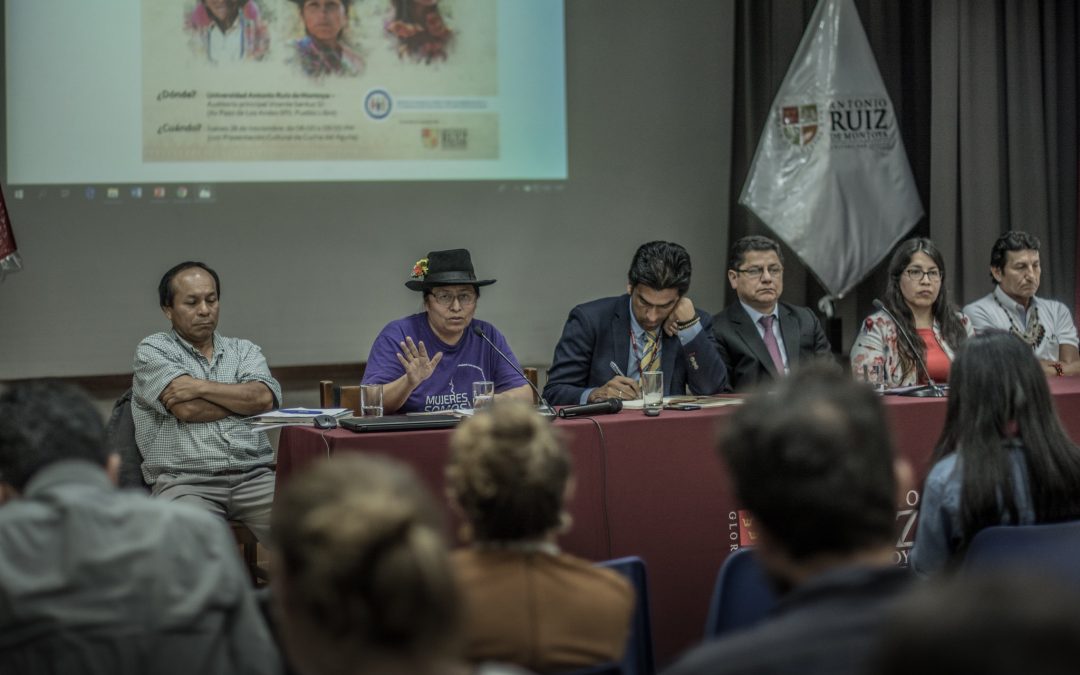 Informe sobre la situación de los derechos de los pueblos indígenas en Perú a 30 años del Convenio 169 OIT, a disposición de toda la población