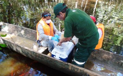 ANA realiza monitoreo de calidad del agua en río Morona, en Loreto