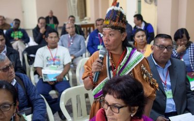 Culmina en el Perú la primera asamblea territorial camino al Sínodo para la Amazonía