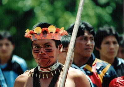 Organizaciones indígenas denuncian «actitud obstruccionista» del MINAM para la realización del Pleno de Pueblos Indígenas y Ambiente