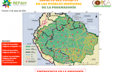 Coica y Repam lanzan mapa de impacto del COVID-19 en los pueblos indígenas de la Panamazonía