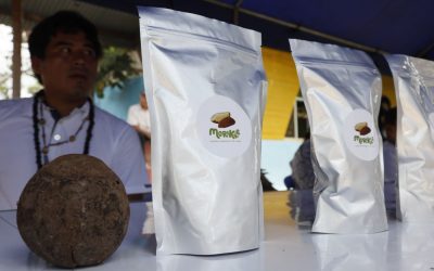 Comunidad nativa Tres Islas, en Madre de Dios, exportará castaña con la marca «Morikke»