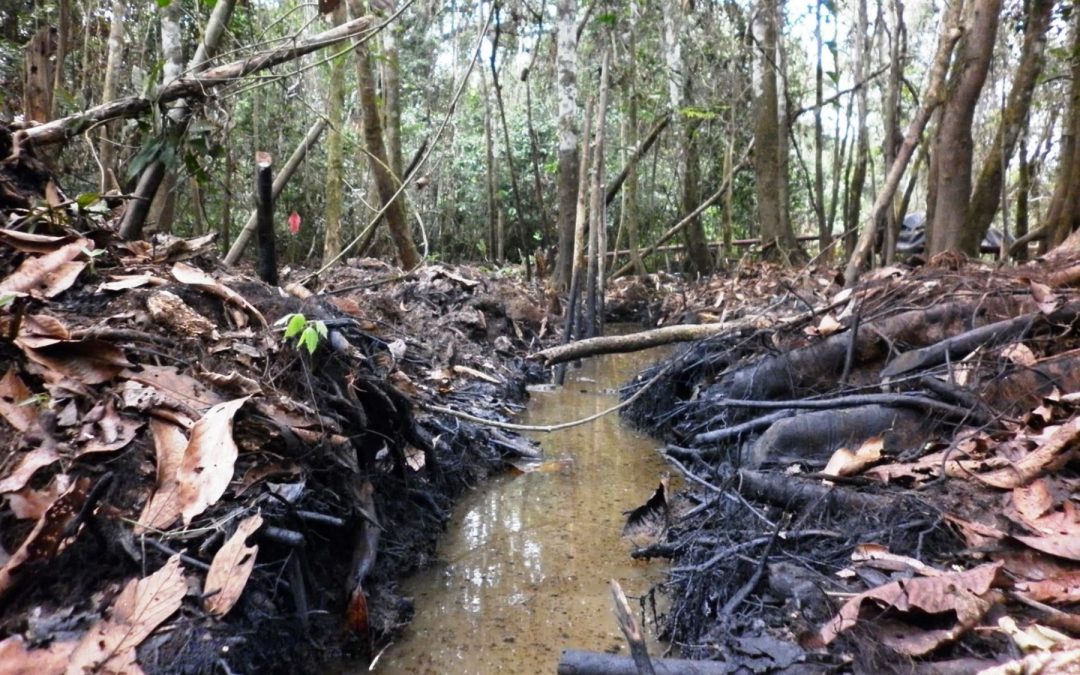 Declaran estado de emergencia por derrame de petróleo en Urarinas y Parinari