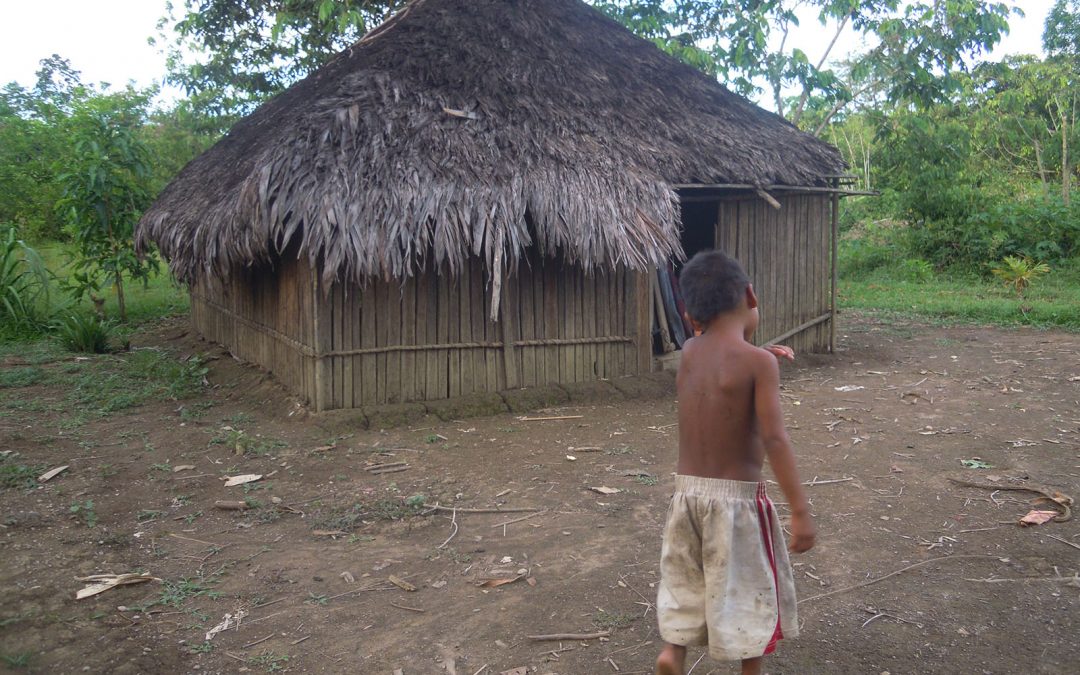 Brote de leptospirosis: Indígenas en contacto inicial del Alto Camisea reclaman atención