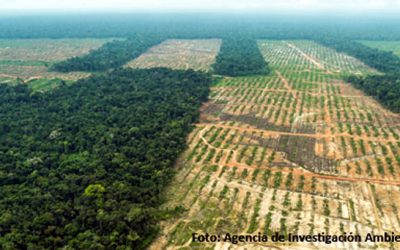 Liquidación total: comercio agrario en Perú