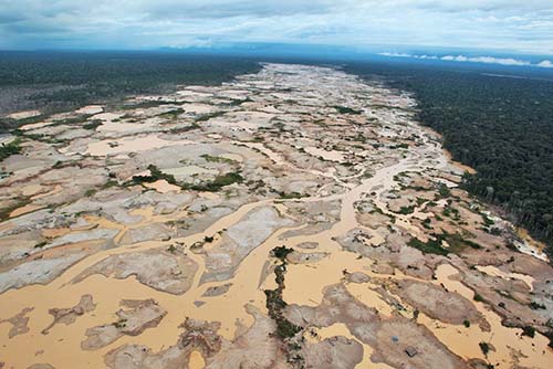 Aumentaron áreas deforestadas en regiones amazónicas