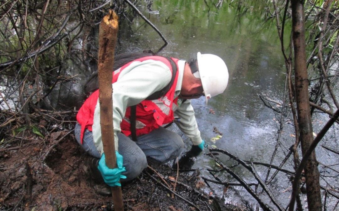 Piden facultades para investigar problemática del derrame de petróleo en la selva