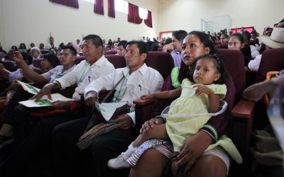 Peruanos y peruanas responden al llamado del bosque