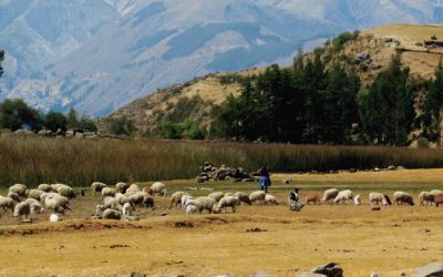 Una gobernanza responsable contribuye a la protección de la tierra y los recursos naturales