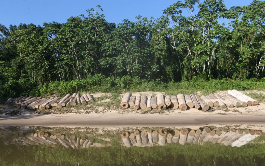 Gobiernos regionales amazónicos se comprometen a reducir deforestación