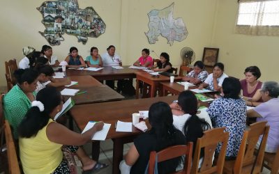 Mujeres indígenas en Puerto Maldonado: Tejiendo redes para compartir preocupaciones y hallar soluciones