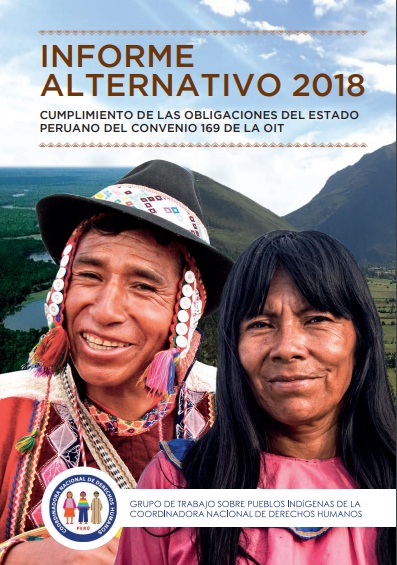 Informe Alternativo 2018