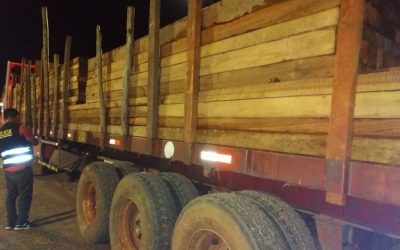 Detienen a exgerentes forestales de Madre de Dios implicados en tráfico ilegal de madera
