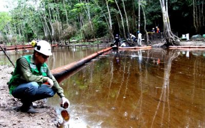 Ambientalistas solicitan participar en transferencia gubernamental del sector