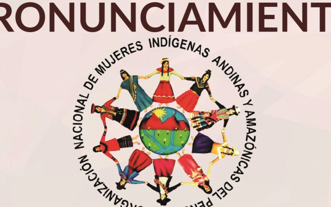 ONAMIAP: «¿Para cuándo la representación legislativa de los pueblos indígenas?»