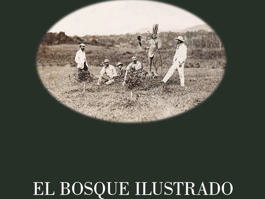El bosque ilustrado. Diccionario histórico de la fotografía amazónica peruana (1868-1950)