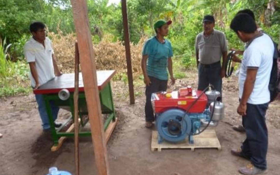 Ucayali: proyecto Noa Jayatai instala 4,000 módulos de cultivos de granos