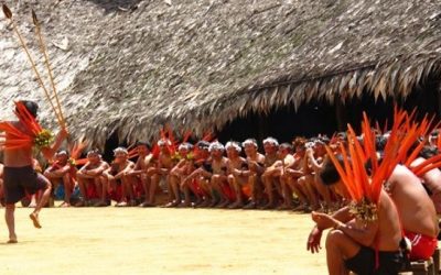 Brasil: La agonía de los pueblos indígenas y quilombolas