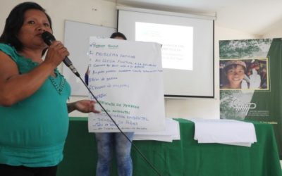 Organizaciones indígenas de Selva Central se capacitan en conflictos socioambientales