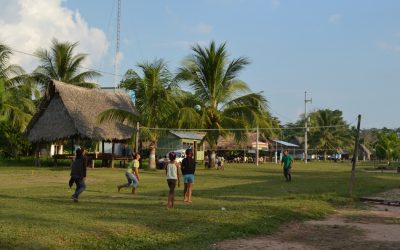 Ordenan consulta previa del Plan Nacional de Palma Aceitera