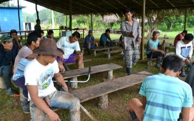 Ucayali: Exigen seguridad para defensores ambientales de comunidad Santa Clara de Uchunya