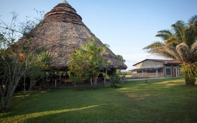 Vicariatos de los países de la Panamazonía se encuentran para visita del Papa a Perú