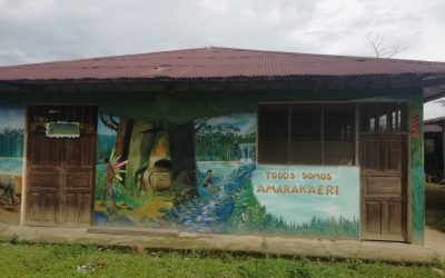 Turismo y coronavirus: El caso de la Comunidad Nativa de Shintuya, entrada al Parque Nacional del Manu