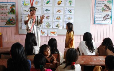 Acompañantes pedagógicos brindan soporte a docentes de escuelas interculturales bilingües