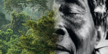 La Amazonía a través de sus pueblos y su diversidad cultural