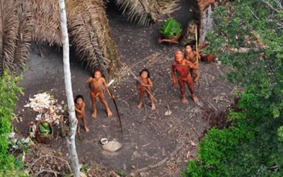 Las tribus aisladas mueren después de haber sido contactadas