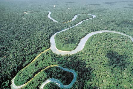 Líderes religiosos analizarán impactos del extractivismo en la Pan Amazonía