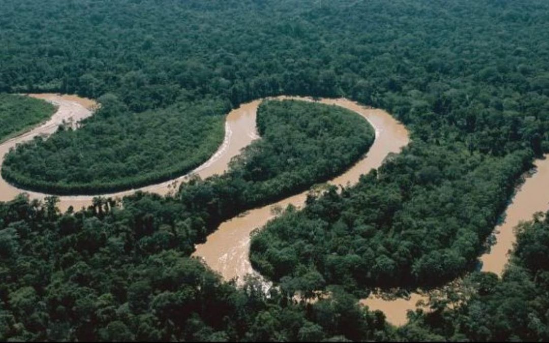 Entregan títulos de propiedad sobre más de 20 mil hectáreas de territorios indígenas en AmazonaS