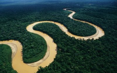Editorial: La Amazonía redescubierta
