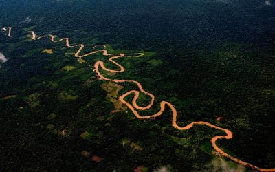 DEL AMAZONAS A ISLAS VÍRGENES: LOS PARAÍSOS DE LOS BOZOVICH