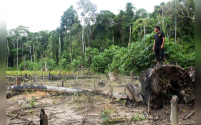 Las comunidades shipibos-konibos han logrado detener la destrucción de sus bosques por medio de drones