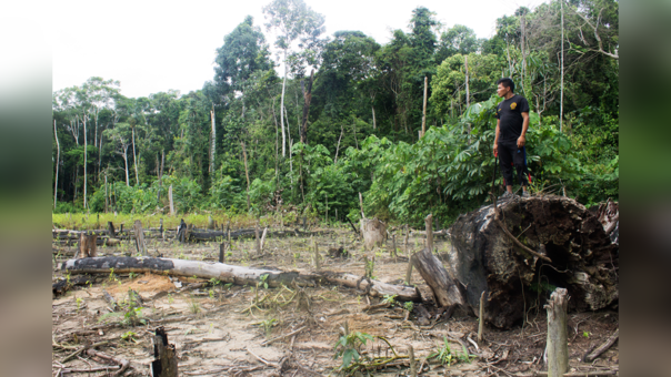 Las comunidades shipibos-konibos han logrado detener la destrucción de sus bosques por medio de drones