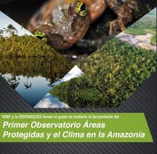 Lanzan primer Observatorio Amazónico de Áreas Protegidas y Cambio Climático