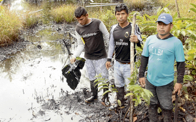 Falsa remediación tras derrames en la cuenca del Chambira