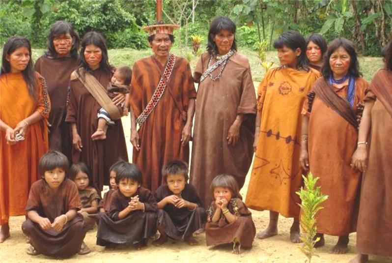 Advierten que violaciones a los derechos de los pueblos indígenas y asesinatos de defensores ambientales se incrementan a nivel mundial