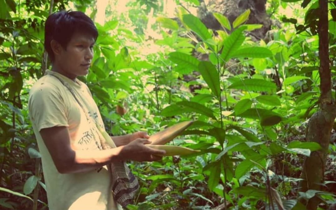 Indecopi entrega 700 registros de conocimientos colectivos a comunidades indígenas