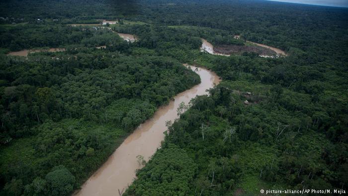 Colombia, Ecuador y Perú apuestan por incluir un enfoque indígena en la gestión de los bosques