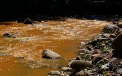 Fotos, Video: La Amazonia peruana vive una verdadera catástrofe ecológica