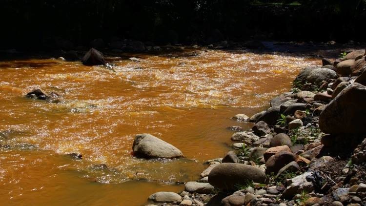 Fotos, Video: La Amazonia peruana vive una verdadera catástrofe ecológica