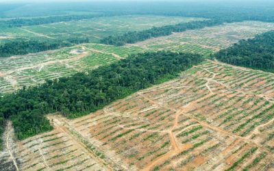 PPK y la neolatifundización de la Amazonía