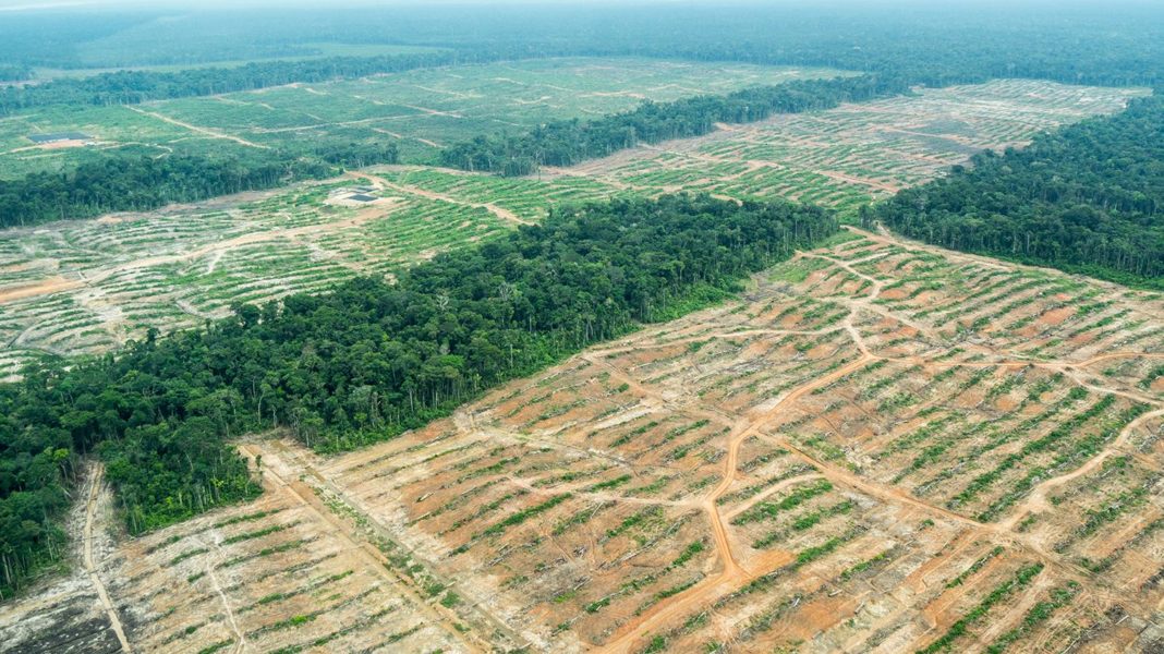 PPK y la neolatifundización de la Amazonía